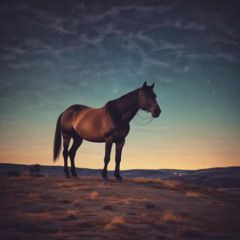 big old horse
