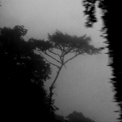 SheDancedWithTheDemonAtMidnight (Remix)