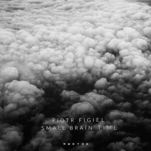 Lost In Ether | P R E M I E R E | Piotr Figiel - Small Brain Time [RWETES]