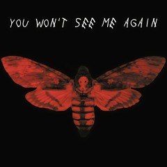 You Won’t See Me Again