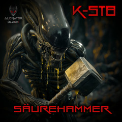 K-ST8 - Säurehammer (Original Mix)