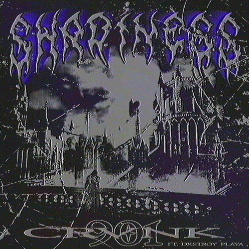 SHADINESS FT. DXSTROY PLAYA