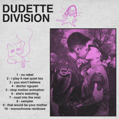 dudette division - monochrome rainbows