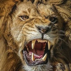 MTG - MEGA DO TRIO DE OURO 2023 (OS CRIA DOS PRÉDIO) FODAAAA