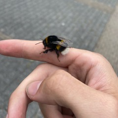 WAR NEEK remix 223bpm