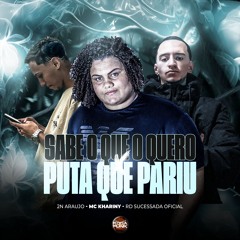 Sabe O Que Eu Quero Puta Que Pariu - Mc Khariny - RD Sucessada Oficial - 2N Araujo
