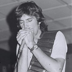 Michael Fagan. THE HALUCINATIONS, Perth 87.