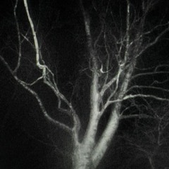 FEELING OF DOOM FT. TRIPPLEHAZE