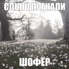 шофер расчил (ремиксяра).flac