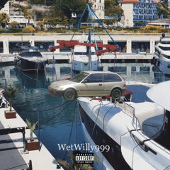 SPRINTAH  - WetWilly999