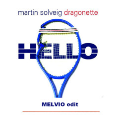 Martin Solveig - Hello (MELVIO edit)