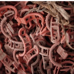 Hani & Rupert - What's In MyHead