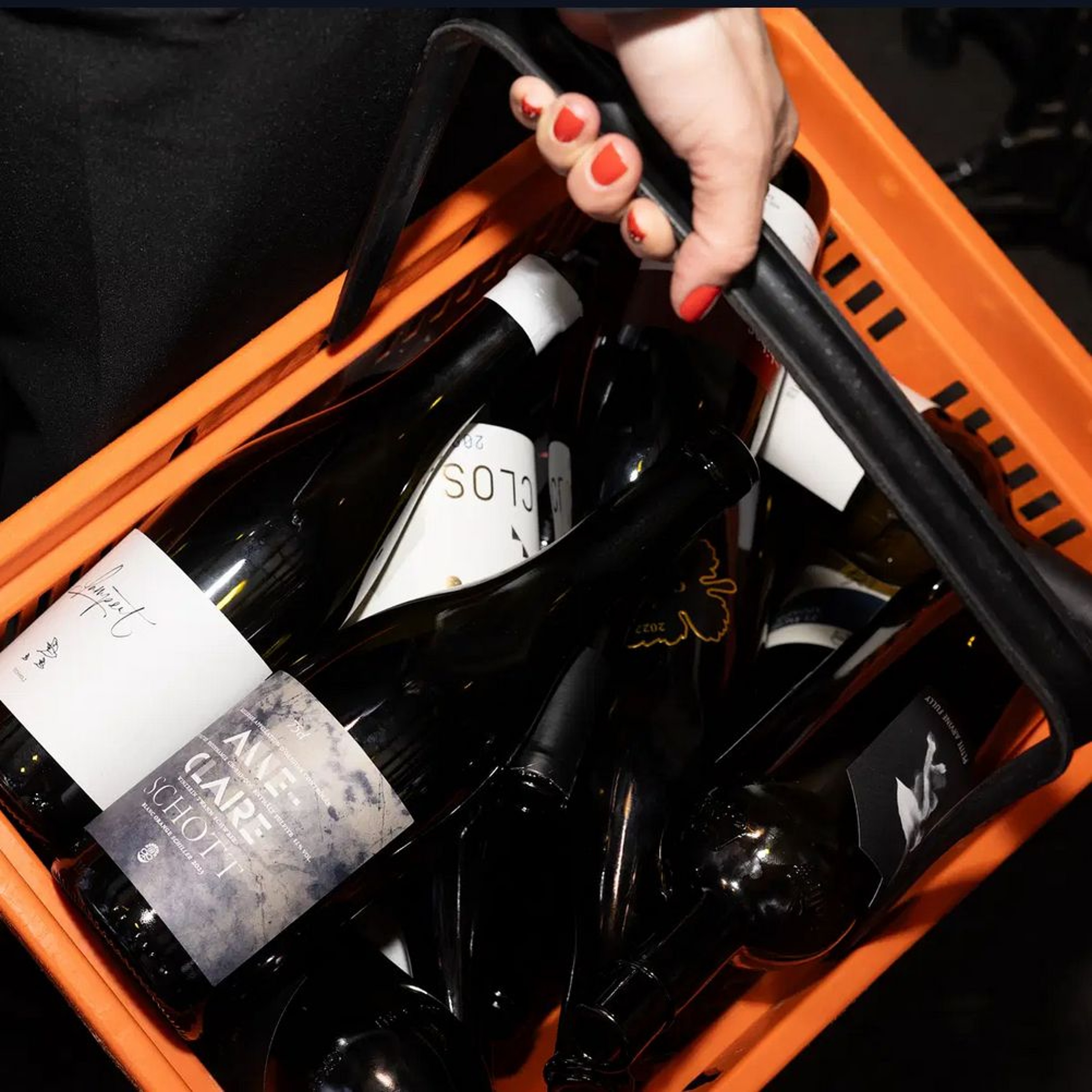 Paul de Watteville - Domaine de Montbenay