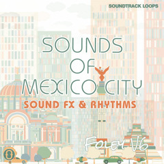 Foley V6 - Sounds of Mexico City Loops & One-Shots