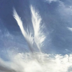 хочу летать >_<