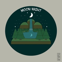 Moon Night (Lofi Aesthetic)