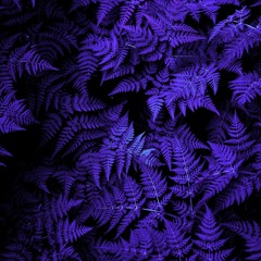 Doubt - Runamuck x Jose x HBK (prod. by Palaze x Ran)