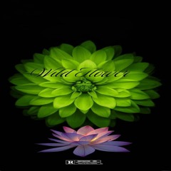 Lord I Pray Feat $.M.G, D'nero Talksick & A.M.G YoungProdigy