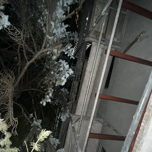 collapse w. forw3rd [akrzn, lino]