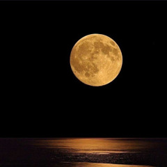 250801 - Set B-Bop Darkness