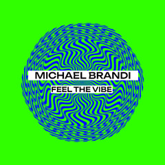 Michael Brandi - Feel The Vibe