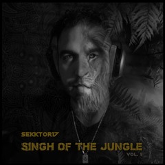 SEKKTOR17 - 01 - Reactive