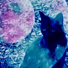 Where the Heart is ...