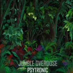 Jungle Overdose (150-160 BPM)- Twilight & Forest SET (Psytronic)