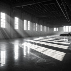 Shadows in the Light