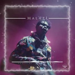 Trap - Malazi