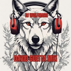 David Guetta Mix