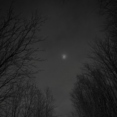 Loneliness
