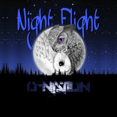 D - Nation Night Flight (Original Mix) Free Download