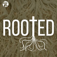Rooted: Stay Salty - Col 4:5-6