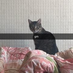 demo in school(prod dj.slimey,eldarskk,timurr,artemn,robertt)