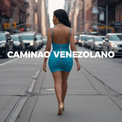 Caminao venezolano