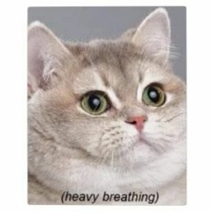 Reggaeton Mix - May 23