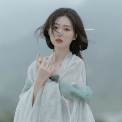 大风吹 Gió Lớn Thổi Remix - 刘惜君 ft. 王赫野 Lưu Tích Quân ft. Vương Hách Dã - (Dj沈念版) remix