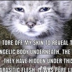 fake. - I Killed A Pixie.
