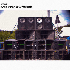 One Year of Dynamic