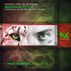 Serendipity 2.0 (David Nimmo Extended Remix)