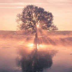 постепенно тебя забываю