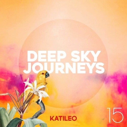 Deep Sky Journeys 15