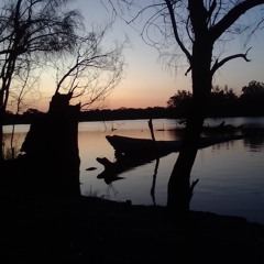 sunflower river blues on the Murray river.m4a