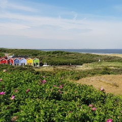 Mare Del Sole