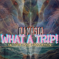 What A Trip Remixed
