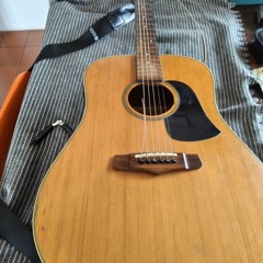 Arjen akoestisch: railsong