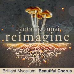 Brilliant Mycelium (Fantastic Fungi: Reimagine)