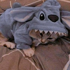 7 weeks & 3 days sped up