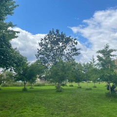 A Love of Some Kind-Adrianne Lenker Cover